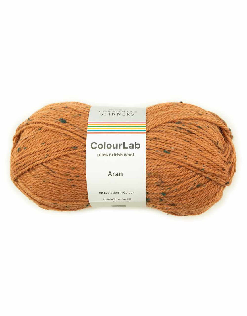 ColourLab Aran Yarn, West Yorkshire Spinners