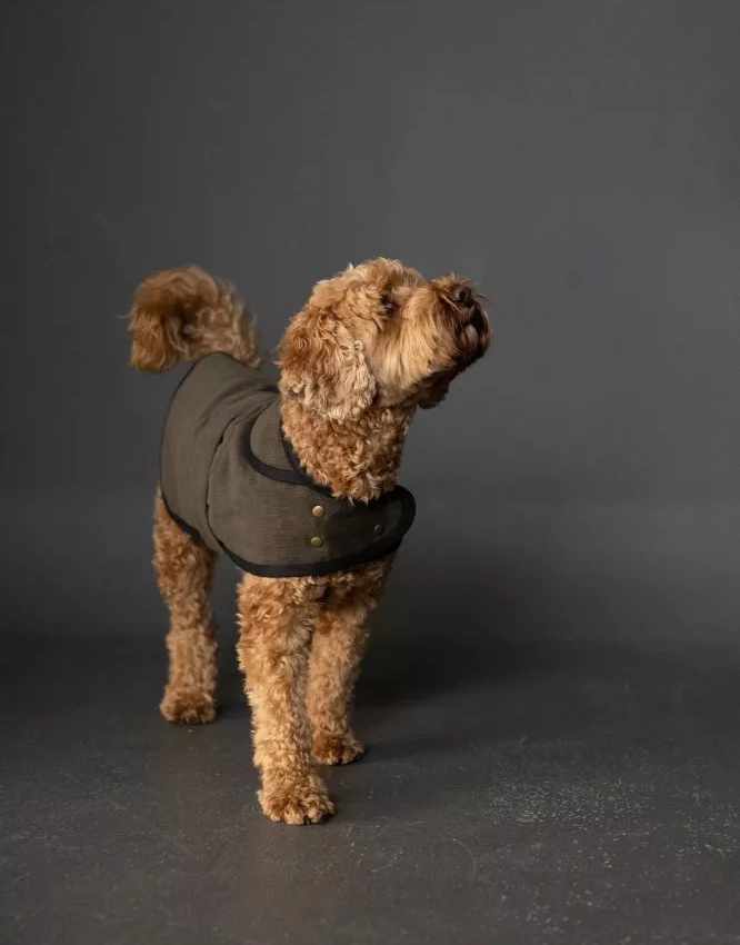 The Barka Dog Coat, Merchant & Mills Sewing Pattern