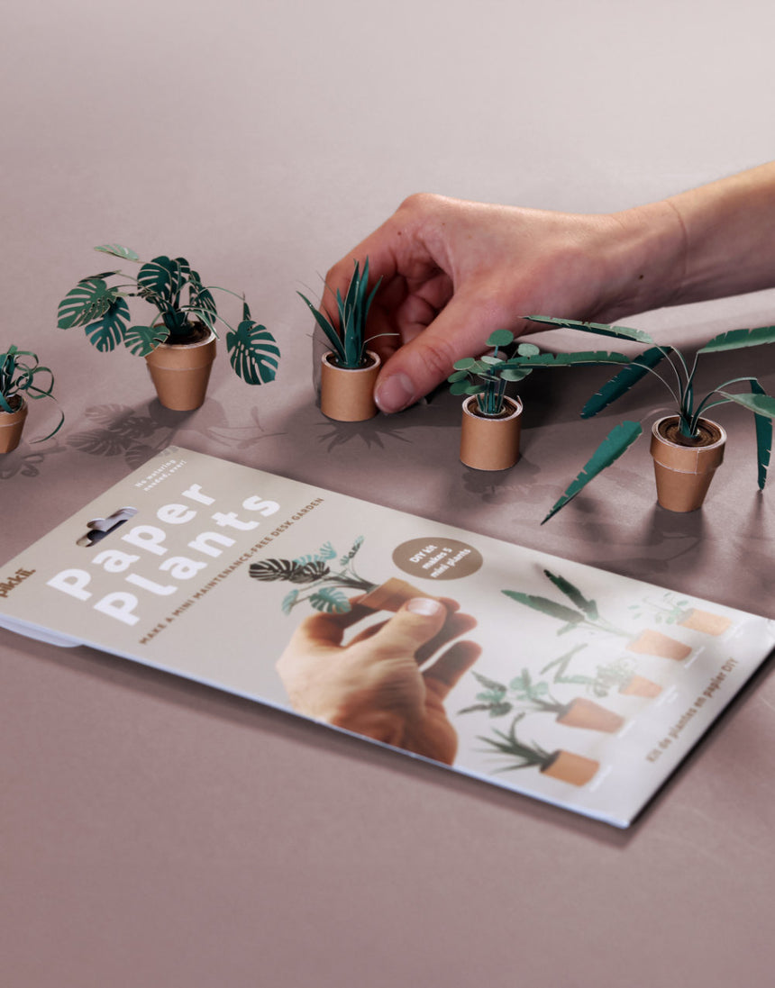 Paper Plants DIY Paper Kit, Pikkii