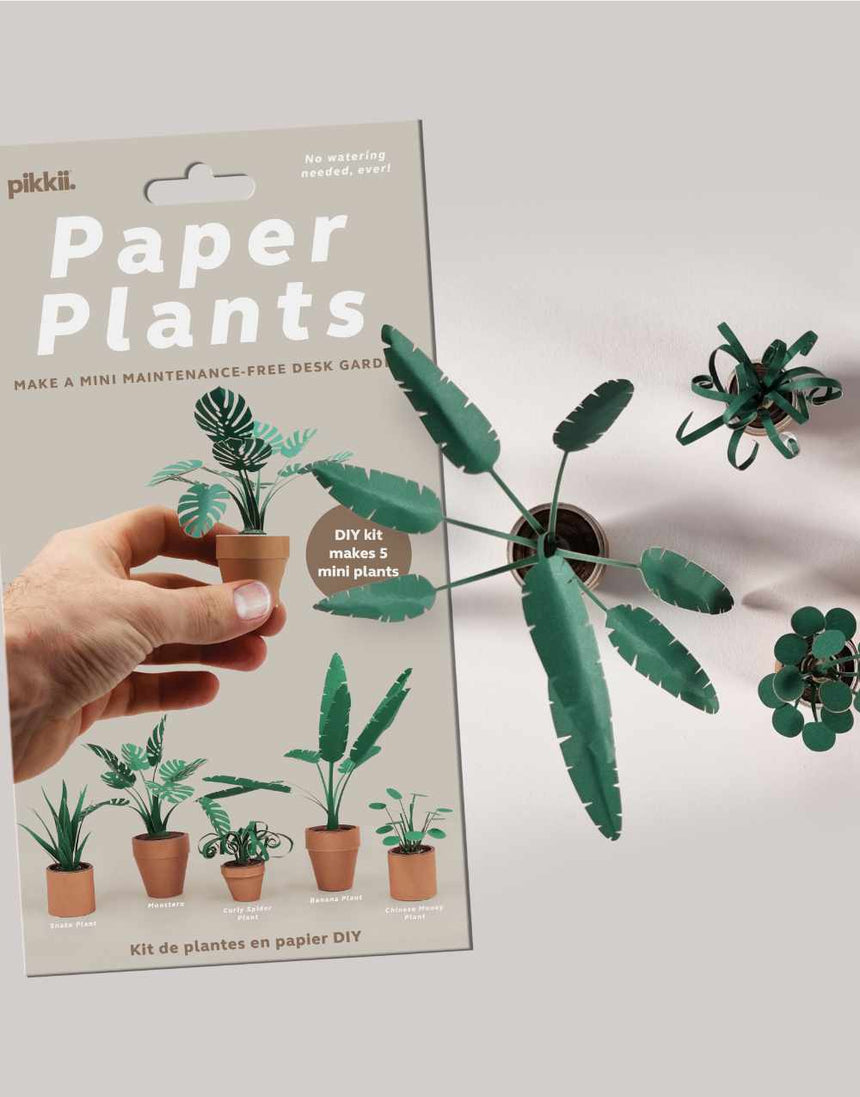 Paper Plants DIY Paper Kit, Pikkii