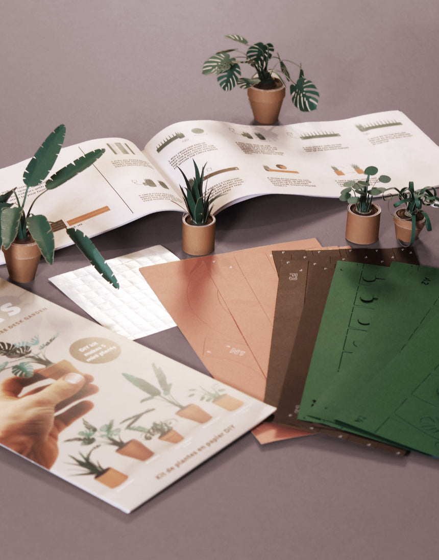 Paper Plants DIY Paper Kit, Pikkii