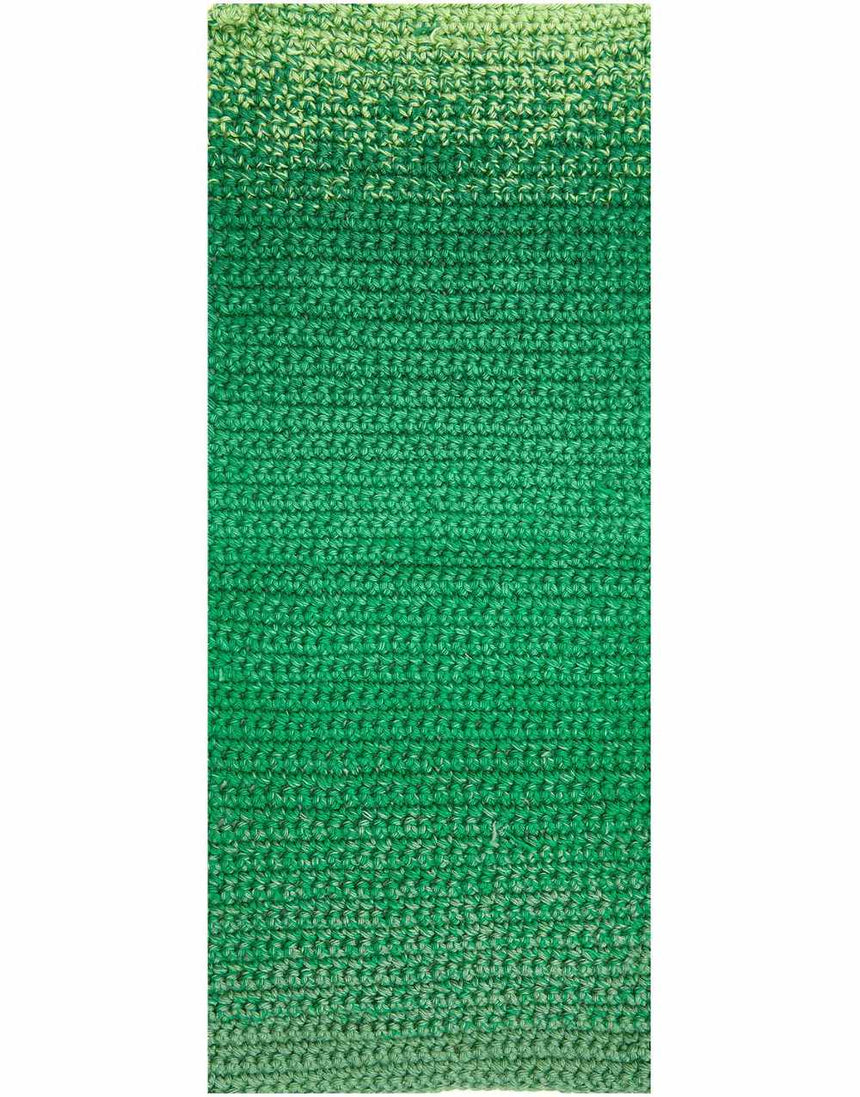 Green Ricorumi Spin Spin Double Knit Yarn