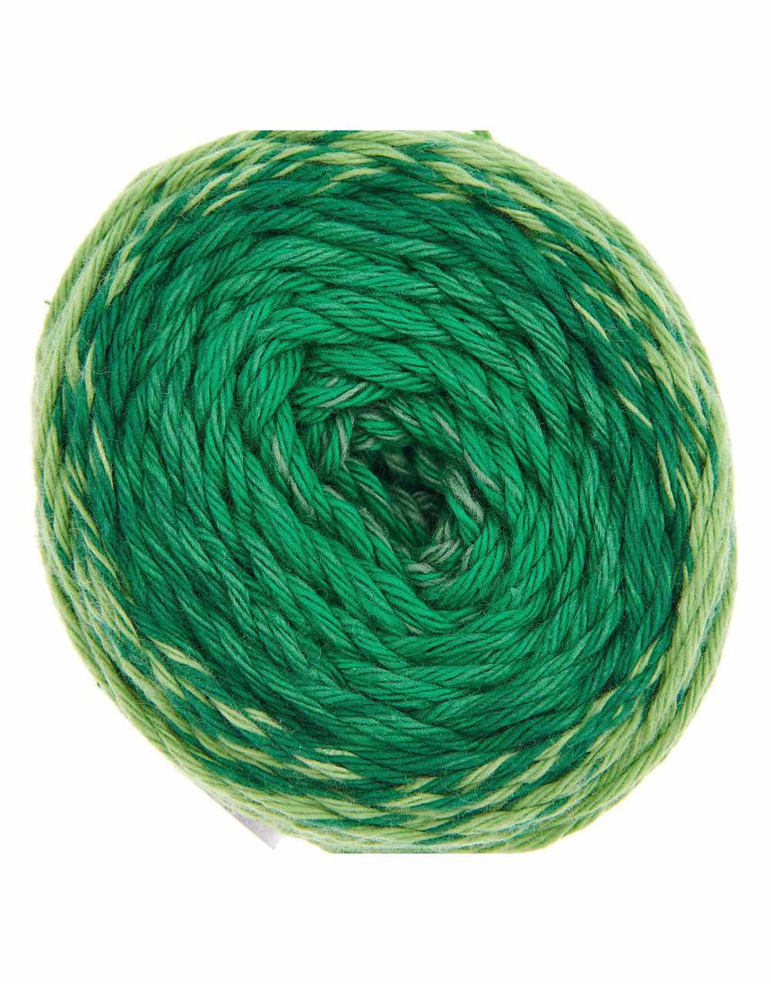 Green Ricorumi Spin Spin Double Knit Yarn