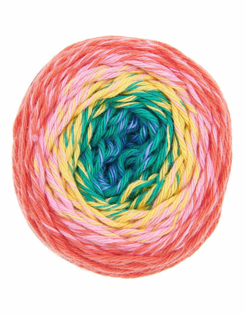 Classic Rainbow Ricorumi Spin Spin Double Knit Yarn