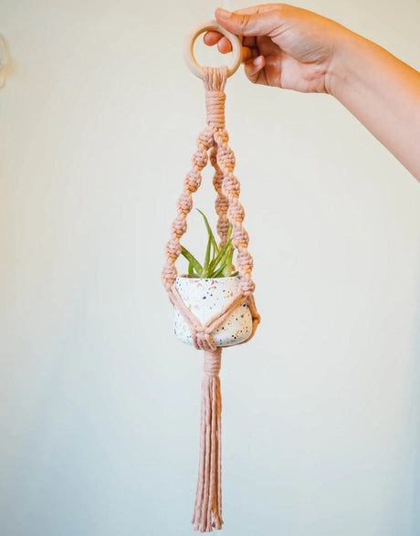 Studio Dawn Macrame Mini Macrame Plant Hanger Kit with Funfetti Pot