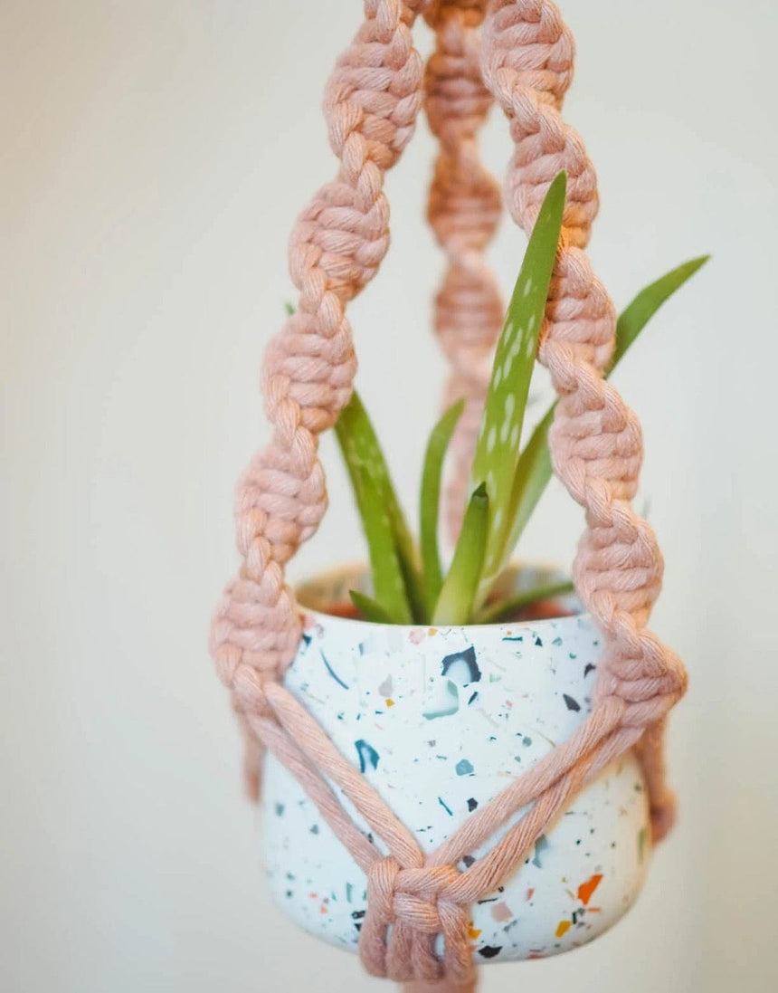 Studio Dawn Macrame Mini Macrame Plant Hanger Kit with Funfetti Pot