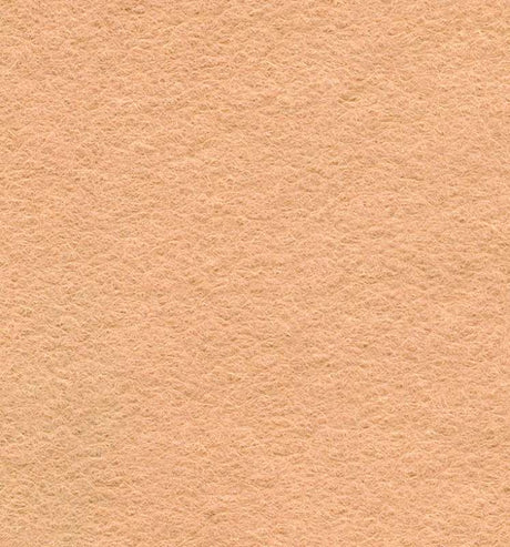 Not specified Wool Felt Beige Wool Felt Fabric 16324130