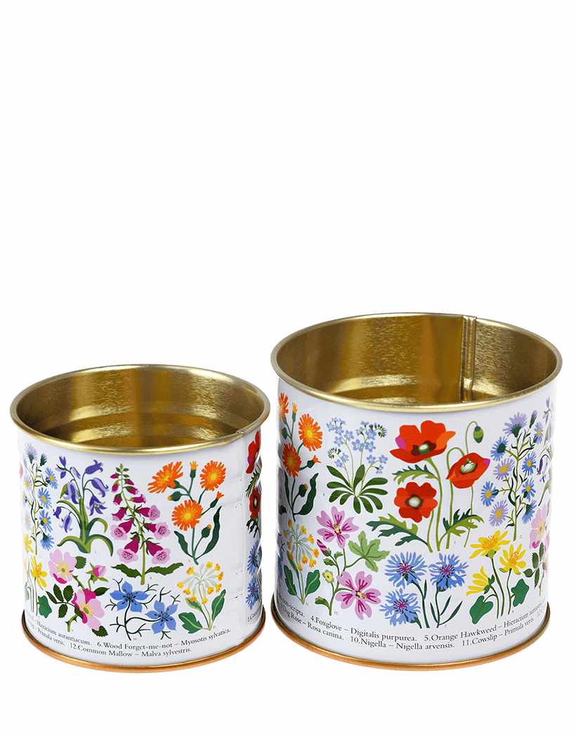 Not Specified Gifts Wild Flowers Mini Storage Tins, Set of 2 5027455439747